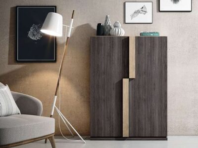 Mueble zapatero original dos puertas